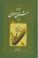 کتاب شرح جامع مثنوی معنوی (دفتر دوم) | انتشارات اطلاعات