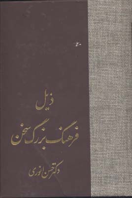 کتاب ذیل فرهنگ بزرگ سخن | انتشارات سخن