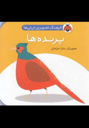 کتاب پرنده ها | انتشارات شهر قلم