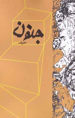 کتاب جنون | انتشارات نقد فرهنگ