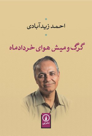 کتاب گرگ و میش هوای خردادماه | انتشارات نشر نی