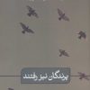 کتاب پرندگان نیز رفتند | انتشارات نشر ثالث