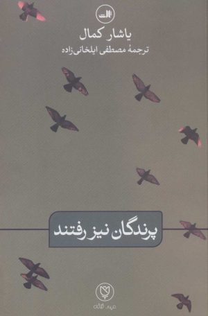 کتاب پرندگان نیز رفتند | انتشارات نشر ثالث