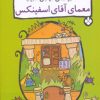 کتاب معمای آقای اسفینکس | انتشارات نشر پنجره