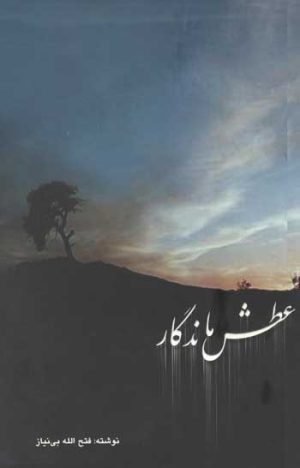 کتاب عطش ماندگار | انتشارات توس