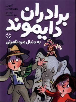 کتاب برادران دایموند به دنبال مرد نامرئی | انتشارات نشر پنجره