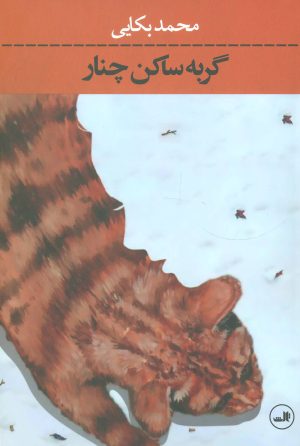 کتاب گربه ساکن چنار | انتشارات نشر ثالث