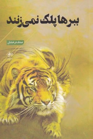 کتاب ببرها پلک نمی زنند | انتشارات فصل پنجم
