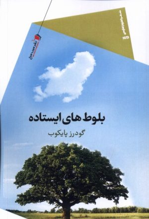 کتاب بلوط های ایستاده | انتشارات سیب سرخ
