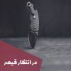 کتاب در انتظار قیصر | انتشارات شالگردن