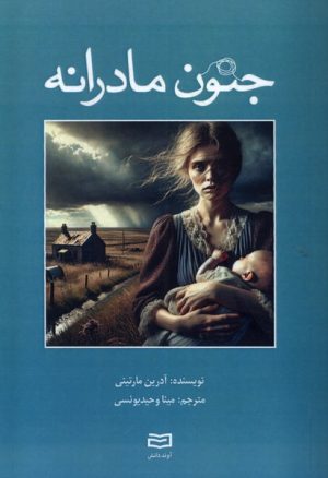 کتاب جنون مادرانه | انتشارات آوند دانش