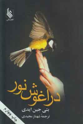 کتاب در آغوش نور | انتشارات نشر علی