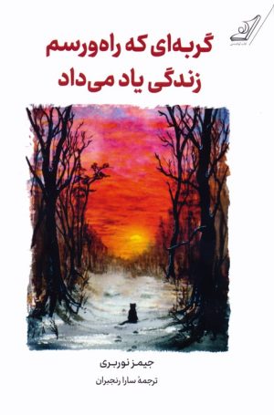 کتاب گربه ای که راه و رسم زندگی یاد می داد | انتشارات کتاب کوله پشتی