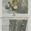 کتاب لیوان شکسته | انتشارات فصل پنجم