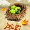 کتاب زخم پاییز | انتشارات سوره مهر