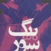 کتاب بیگ سور | انتشارات روزنه