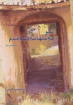 کتاب بگو که تنها به دنیا آمدم | انتشارات آناپنا