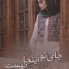 کتاب جای تو اینجا نیست | انتشارات شقایق