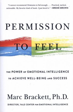 کتاب Permission to Feel | انتشارات آی آی کتاب
