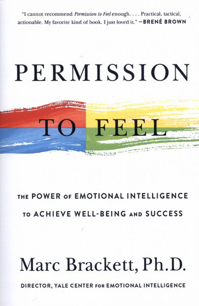 کتاب Permission to Feel | انتشارات آی آی کتاب