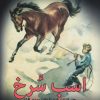 کتاب اسب سرخ | انتشارات مجید به سخن
