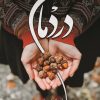 کتاب دردمان | انتشارات شقایق