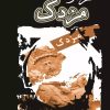 کتاب فراز و فرود مزدک | انتشارات تیرگان