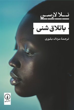 کتاب باتلاق شنی | انتشارات نشر نی