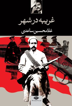 کتاب غریبه در شهر | انتشارات نگاه