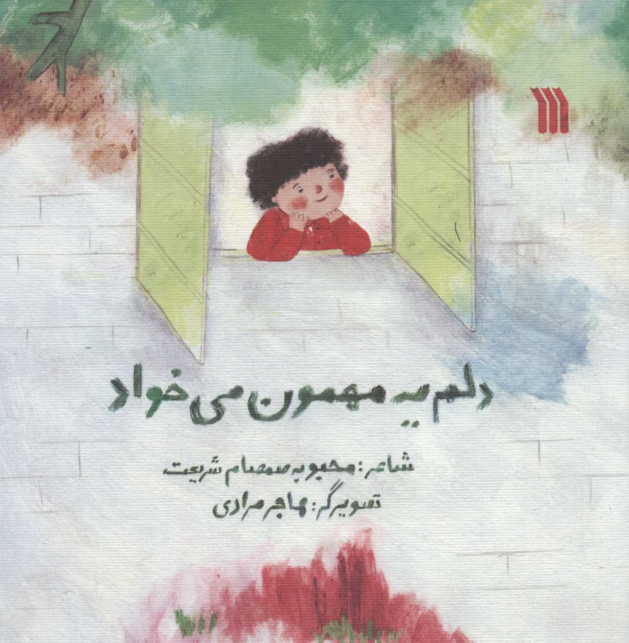 کتاب دلم یه مهمون می خواد | انتشارات سروش
