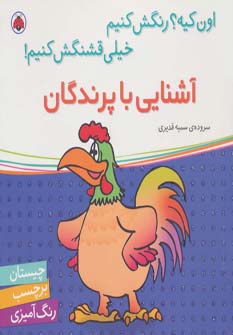 کتاب آشنایی با پرندگان | انتشارات شهر قلم
