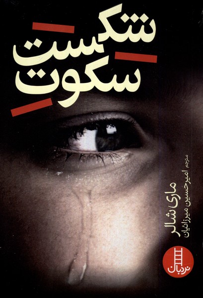 کتاب شکست سکوت | انتشارات فنی ایران نردبان