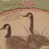کتاب خودآموز جامع پیروگرافی | انتشارات بین المللی حافظ