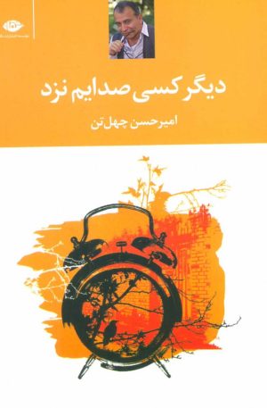 کتاب دیگر کسی صدایم نزد | انتشارات نگاه