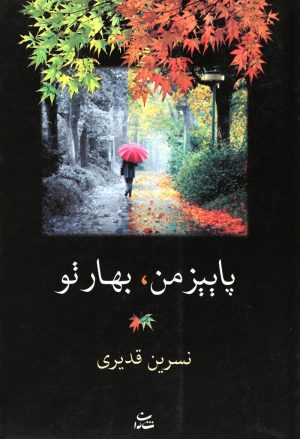 کتاب پاییز من، بهار تو | انتشارات شادان