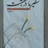 کتاب سفیر ما در بهشت | انتشارات شهید کاظمی