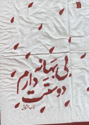 کتاب بی بهانه دوستت دارم | انتشارات سروش
