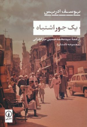 کتاب یک جور اشتباه | انتشارات نشر نی