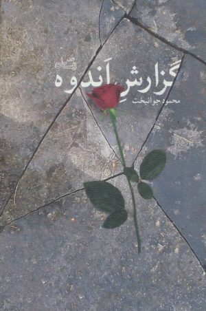 کتاب گزارش اندوه | انتشارات نیستان