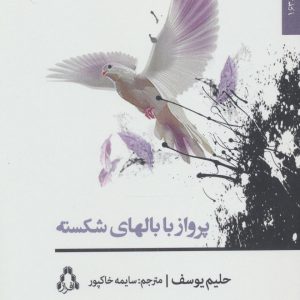 کتاب پرواز با بالهای شکسته | انتشارات افراز