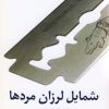 کتاب شمایل لرزان مردها | انتشارات نیلا
