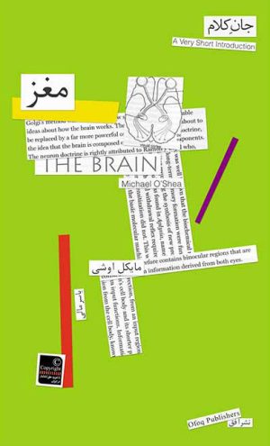 کتاب مغز | انتشارات افق