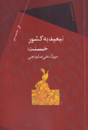 کتاب تبعید به کشور حسنت | انتشارات سیب سرخ