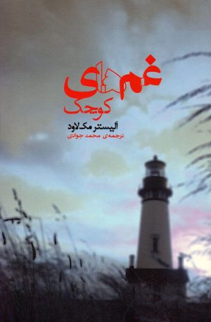 کتاب غم های کوچک | انتشارات کتابسرای تندیس