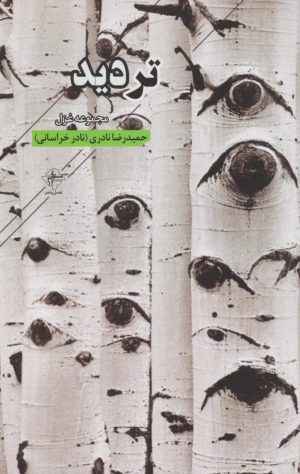 کتاب تردید‏‫ | انتشارات فصل پنجم