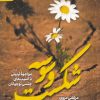 کتاب شکست وسوسه | انتشارات به نشر