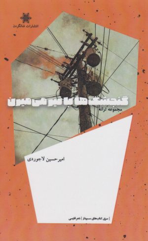 کتاب ‏‫گنجشک ها با تیر می میرن | انتشارات شالگردن