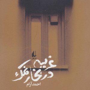 کتاب غریبه در بخار نمک | انتشارات افق