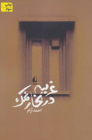 کتاب غریبه در بخار نمک | انتشارات افق