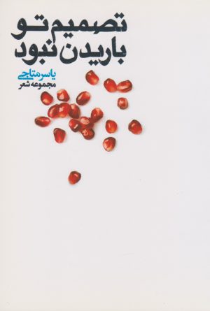 کتاب تصمیم تو باریدن نبود | انتشارات نگارستان اندیشه